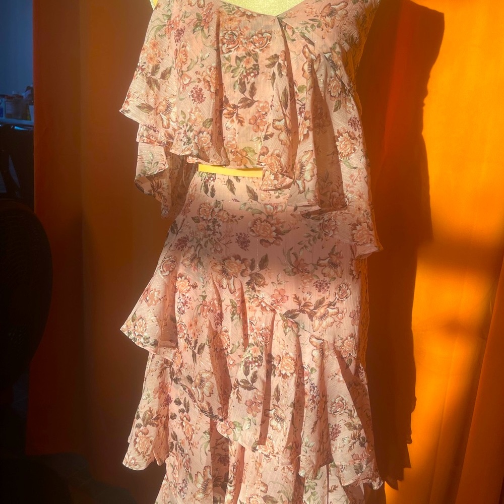 Set Dress - image 2